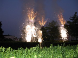 IMG 0820  